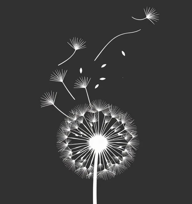 black and white image of a dandilion (the kind with seeds to wish on) with some seeds blowing away (making a wish!)